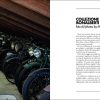 Collectors of Moto Guzzi 3